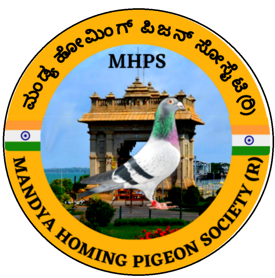 mandyahomingpigeonsociety.in favicon